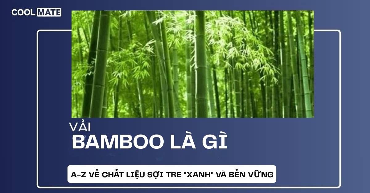 Vải Bamboo Là Gì? A-Z Về Chất Liệu Sợi Tre "Xanh" Và Bền Vững