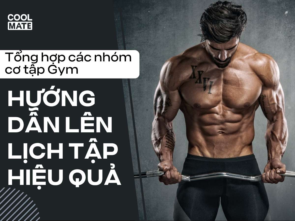 Tổng Hợp Các Nhóm Cơ Tập Gym & Hướng Dẫn Lên Lịch Tập Hiệu Quả
